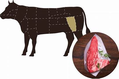 Cuts Special Tri Tip Steak Fleischerei Famila