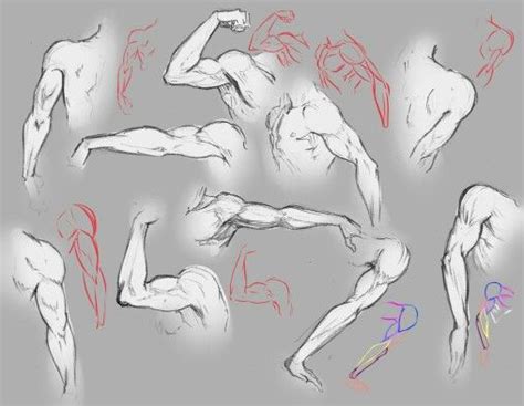 This tutorial will study the male back and arms, exploring the natural rhythm of the muscles, and the expressiveness they display when they work in reference photo of the author in a relaxed pose. Shoulder | Kresby, Malování