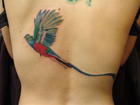 quetzal bird with long tail tattoo on back 100 tattoo quetzal tattoo tattoos
