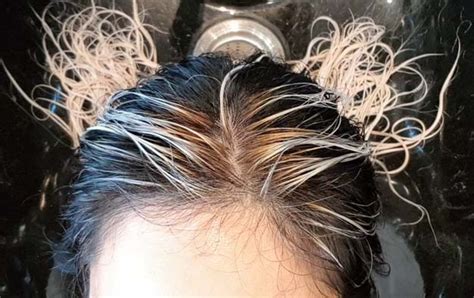 What To Expect After You Bleach Your Asian Hair Lab Muffin Beauty Science