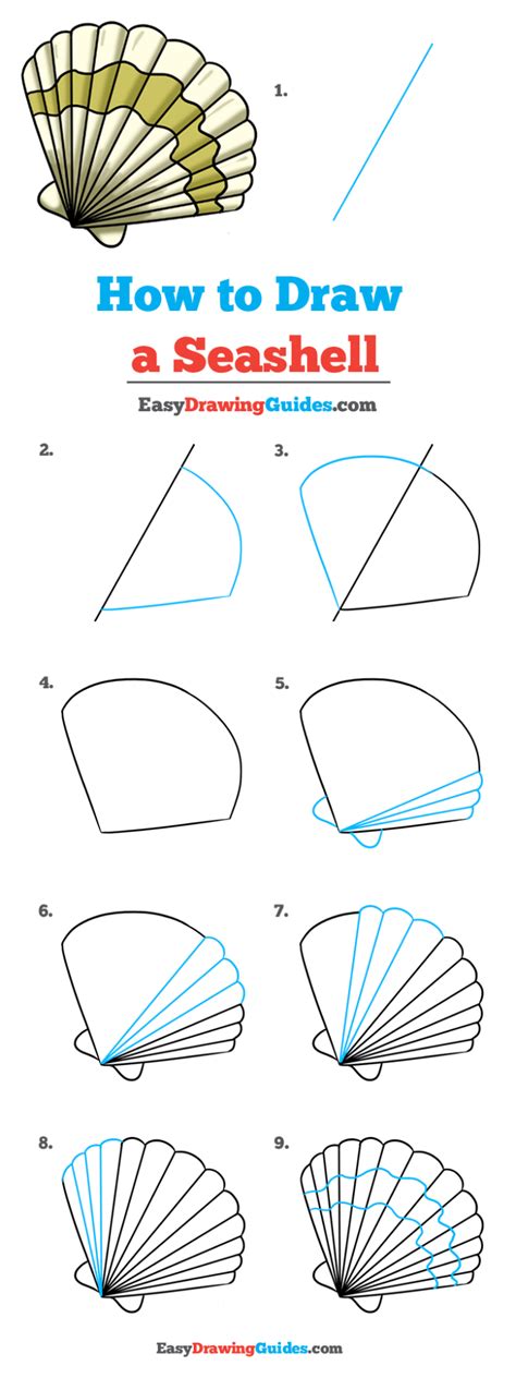 How To Draw A Seashell Really Easy Drawing Tutorial Easy Drawings