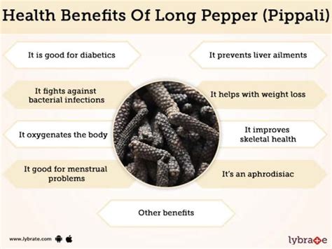 Long Pepper Pippali Benefits And Its Side Effects Lybrate