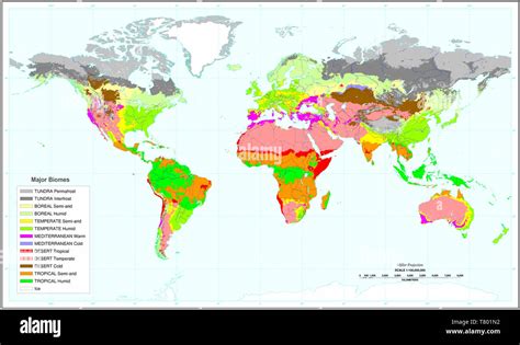 Biomas Terrestres Desierto Los Bosques Images The Best Porn Website