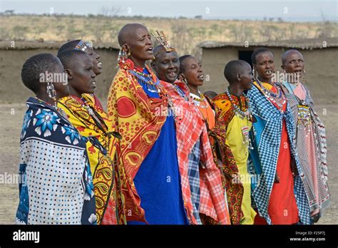 kenya masai mara reserve masai women performing a traditional welcome of singing in a village