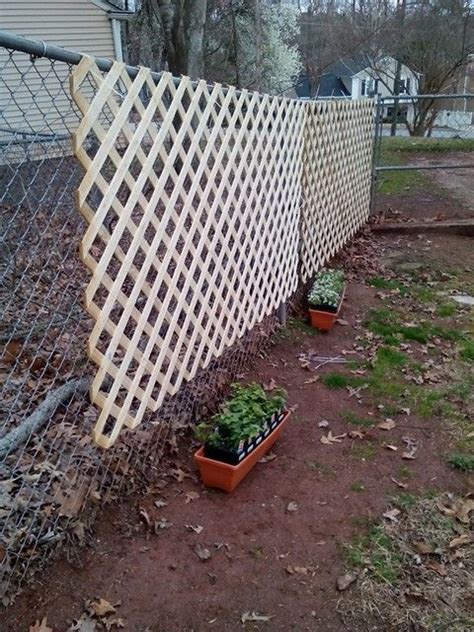 Chain Link Fence Coverwith Trellis Privacy Fences Decks Patios