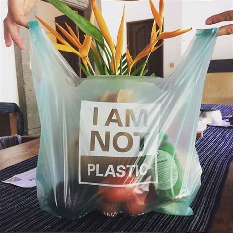 This Plastic Bag Is 100 Biodegradable World Economic Forum