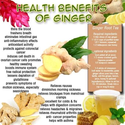 Health Benefits Of Ginger Ginger Benefits Health Benefits Of Ginger