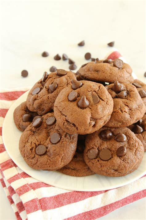 Chocolate Chocolate Chip Pudding Cookies Laptrinhx News