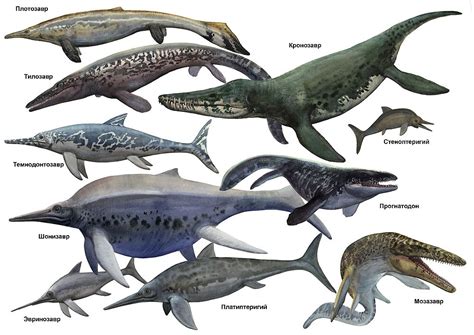 Sea Monsters By ~atrox1 Featuring Plotosaurus Tylosaurus