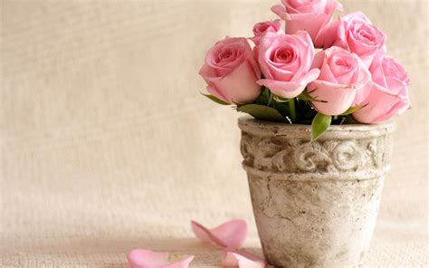 Download the perfect bouquet of flowers pictures. Flowers Bucket Roses Vase Pink Roses Wallpaper [2560x1600 ...