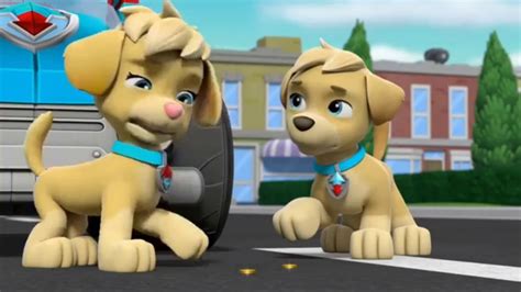 Paw Patrol Clip Mighty Pups Super Paws Ella And Tuck Know Who Loves