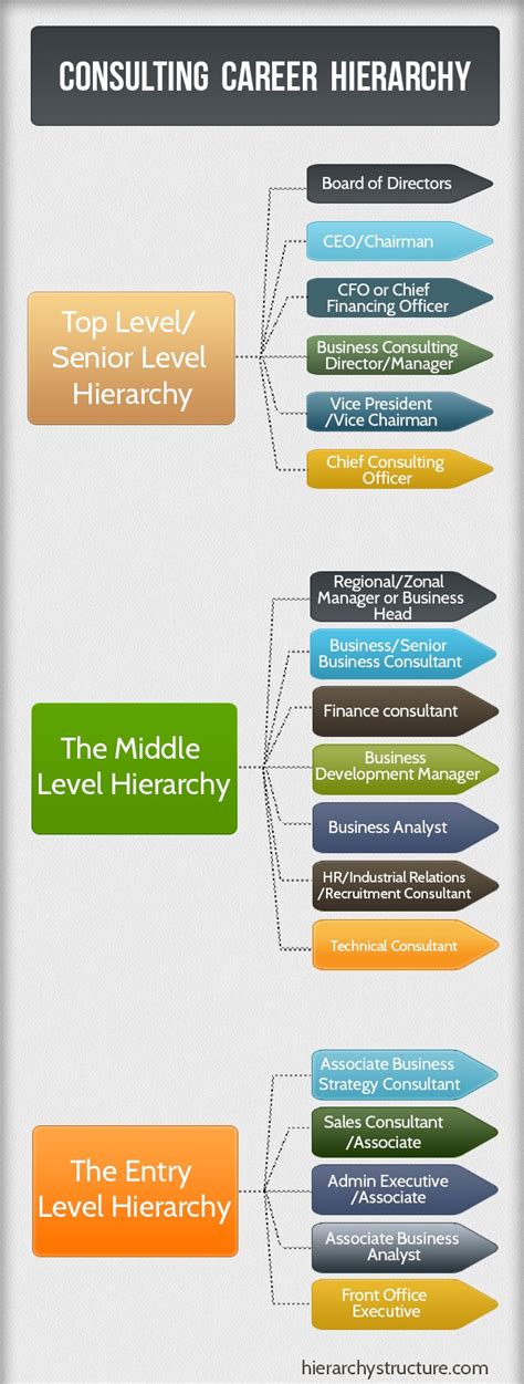 Business Strategy Analyst Career Path QBISNS