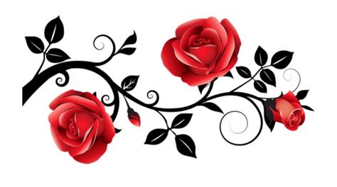 Rose Clipart Transparent Background Rose Red And Black Clip Art Library