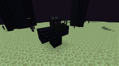 This Should Be How You Spawn The Ender Dragon P Minecraft