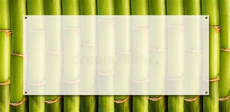 Bamboo Banner Stock Illustration Illustration Of Nature 18618386