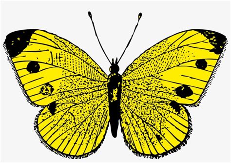 Free Yellow Butterfly Clipart Download Free Yellow Butterfly Clipart