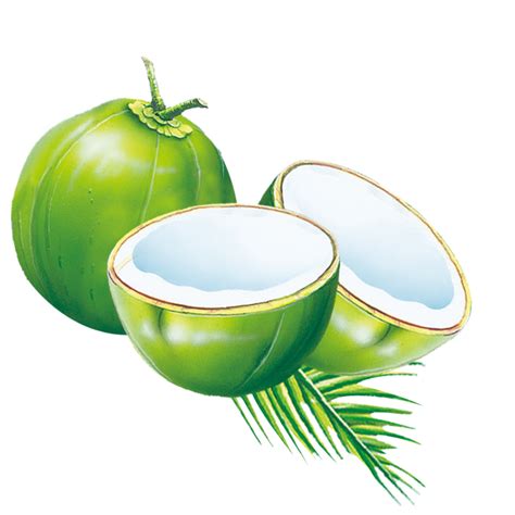 Download Coconut Water Muda Es Cyan Milk Kelapa Clipart Png Free