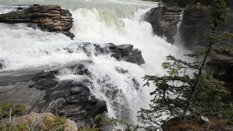 Waterfall In Jasper National Park Stock Footage Video 100 Royalty