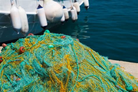 Fishing Nets Free Stock Photo Public Domain Pictures