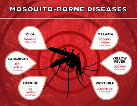 Mosquito Malaria Symptoms Pictures Symptoms Of Disease