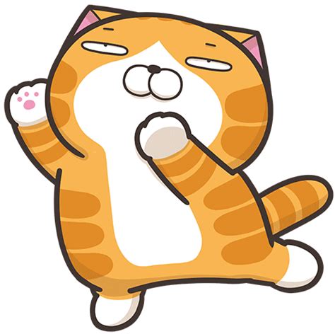 Dance Cat Sticker By Mochidad For Ios And Android Giphy