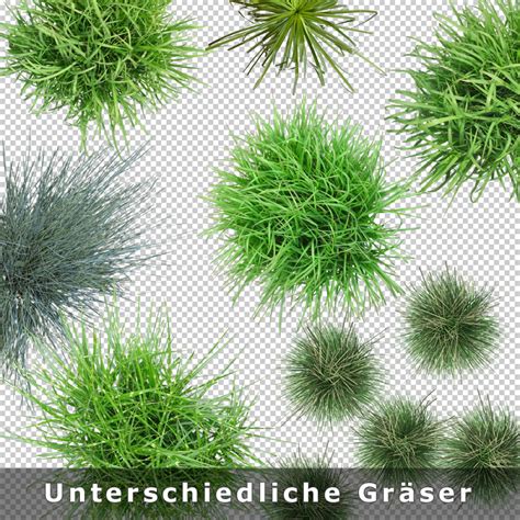 Sofern es ausdrücklich im mietvertrag vereinbart wurde. Top View Plants V1 - Freigestellte Pflanzen als Grundriss ...