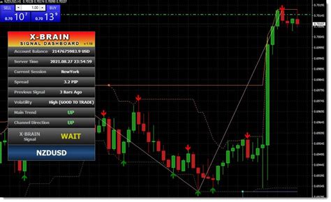 Instruction Manual X Brain Method Ultimate Forex System