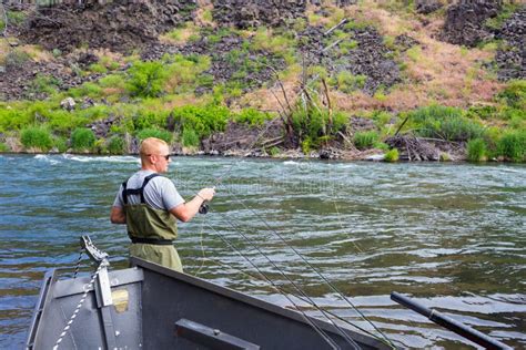 Fly Fisherman Casting On The Deschutes River Stock Image Image Of