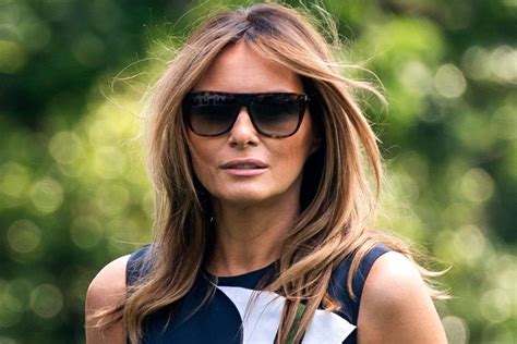 Melania Trump in Calvin Klein Dress, Louboutin Heels at ...