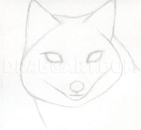 How To Draw A Fox Head Swift Fox Step By Step Drawing Guide By Images
