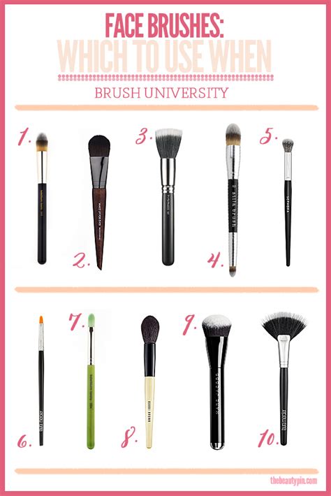 Brush University Face Brushes With Makeup Brushes 101