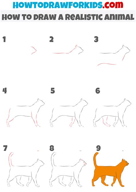 How To Draw A Realistic Animal Easy Drawing Tutorial For Kids
