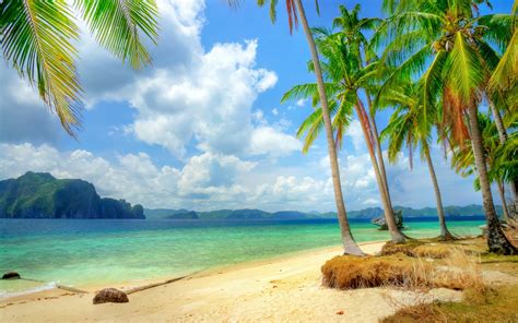 fondos de pantalla costa tropical playa costa mar azul palmeras las nubes 1920x1200 hd imagen