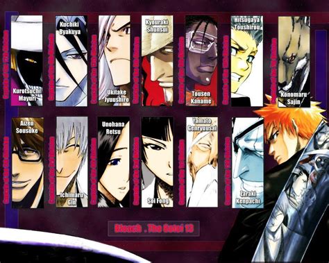 Do You Call It Division Squad Or Company Poll Results Bleach Anime