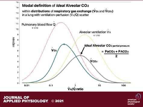 Ideal Alveolar Gas Defined By Modal Gas Exchange In Ventilation