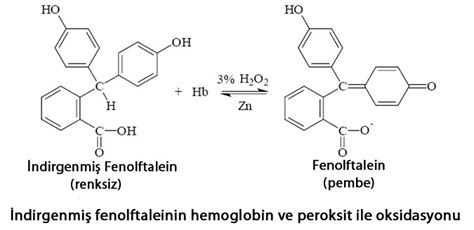 Fenolftalein Nedir Kimyaca