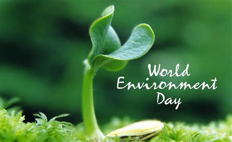 World Environment Day June Ecotourism Kenya