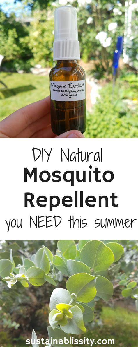 the only natural mosquito repellent you need this summer sustainablissity natural mosquito