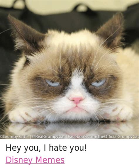 25 Best Memes About Disney Grumpy Cat And Meme Disney