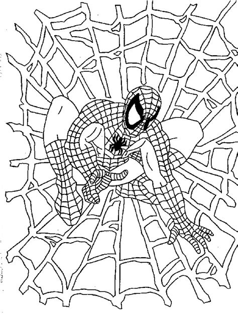 Coloriage Spiderman Et Toile Dessin Gratuit à Imprimer