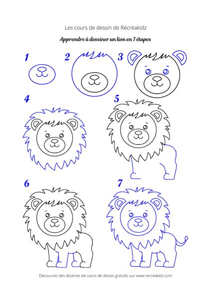 Comment dessiner un lion Dessin lion facile par étapes