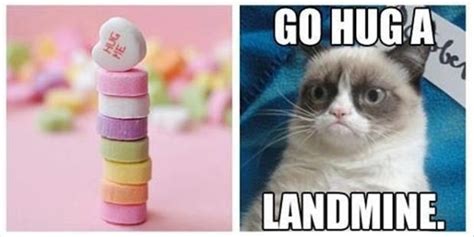 Grumpy Cat Go Hug A Landmine We Love Killer Cats Pinterest
