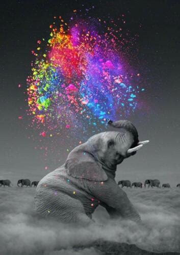Elephant Squirting Colorful Water Glossy Art Poster A A A Sizes Ebay