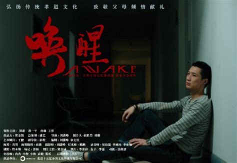 Do not believe anything you hear about awake, do not talk to anyone about it, and above all do not even glance at the poster or ads, which criminally reveal a crucial plot twist. Awake (2012), Zheng Nuo, Hong Yiping, Sun Lin - China ...
