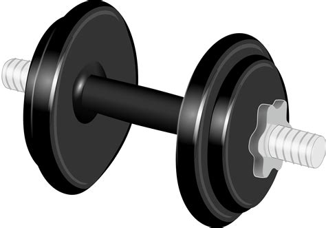Weight clipart weight lifting equipment, Weight weight lifting equipment Transparent FREE for 