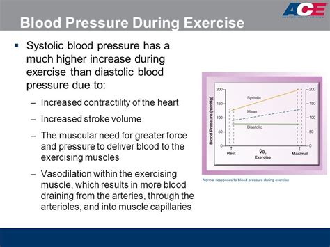 What Is Normal Blood Pressure While Exercising Online Degrees