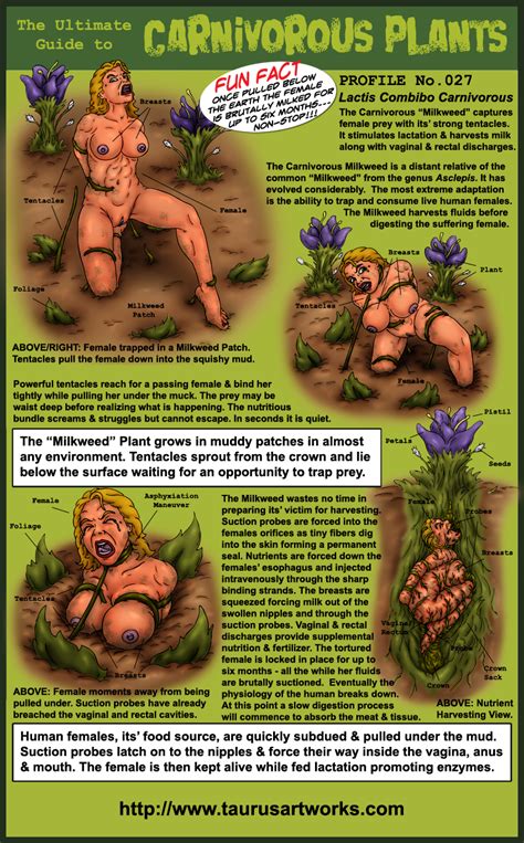 Taurus Porn Comics Taurus Cartoon Sex And Hentai Svscomics