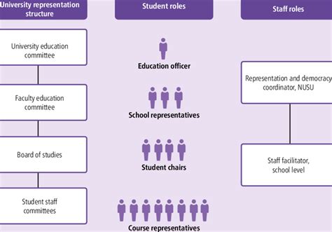 Description Of Roles In Student Representation Download Scientific