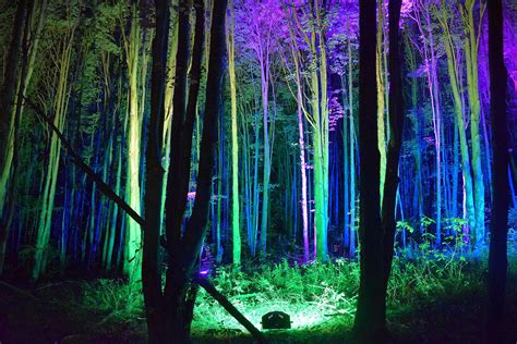 Sitlerhq Produced Night Lights At Griffis Sculpture Park Returns For