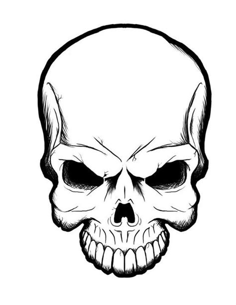 Caveira Drawings Art Skull